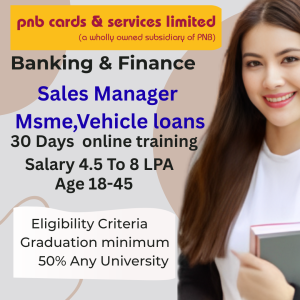 PNB Sales Manager Msme Loan Program