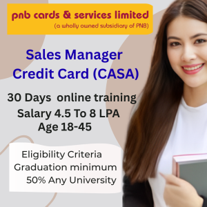 PNB Sales Manager Program